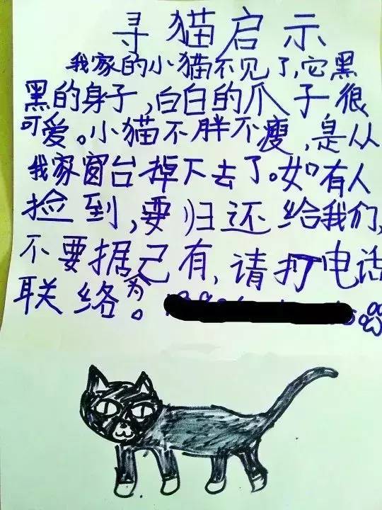 寻猫启示作文图片