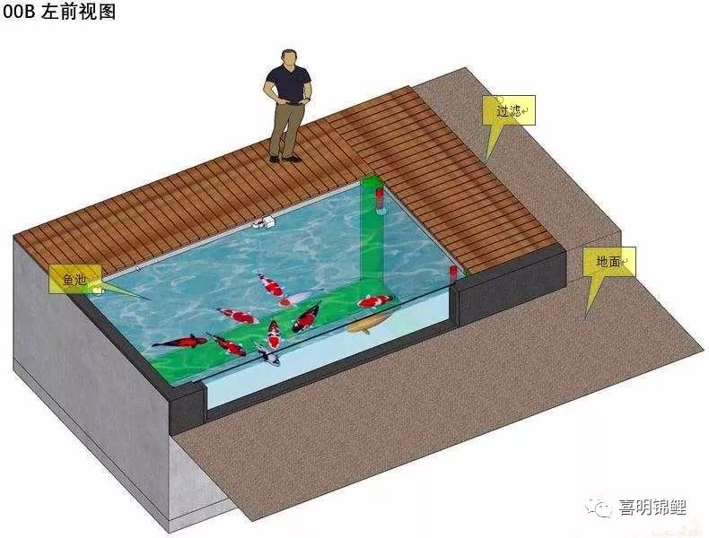 三維錦鯉魚池建造步序圖魚友魚池過濾必讀