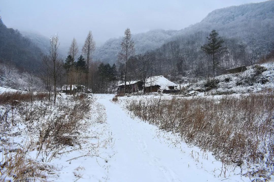 龙池雪景图片