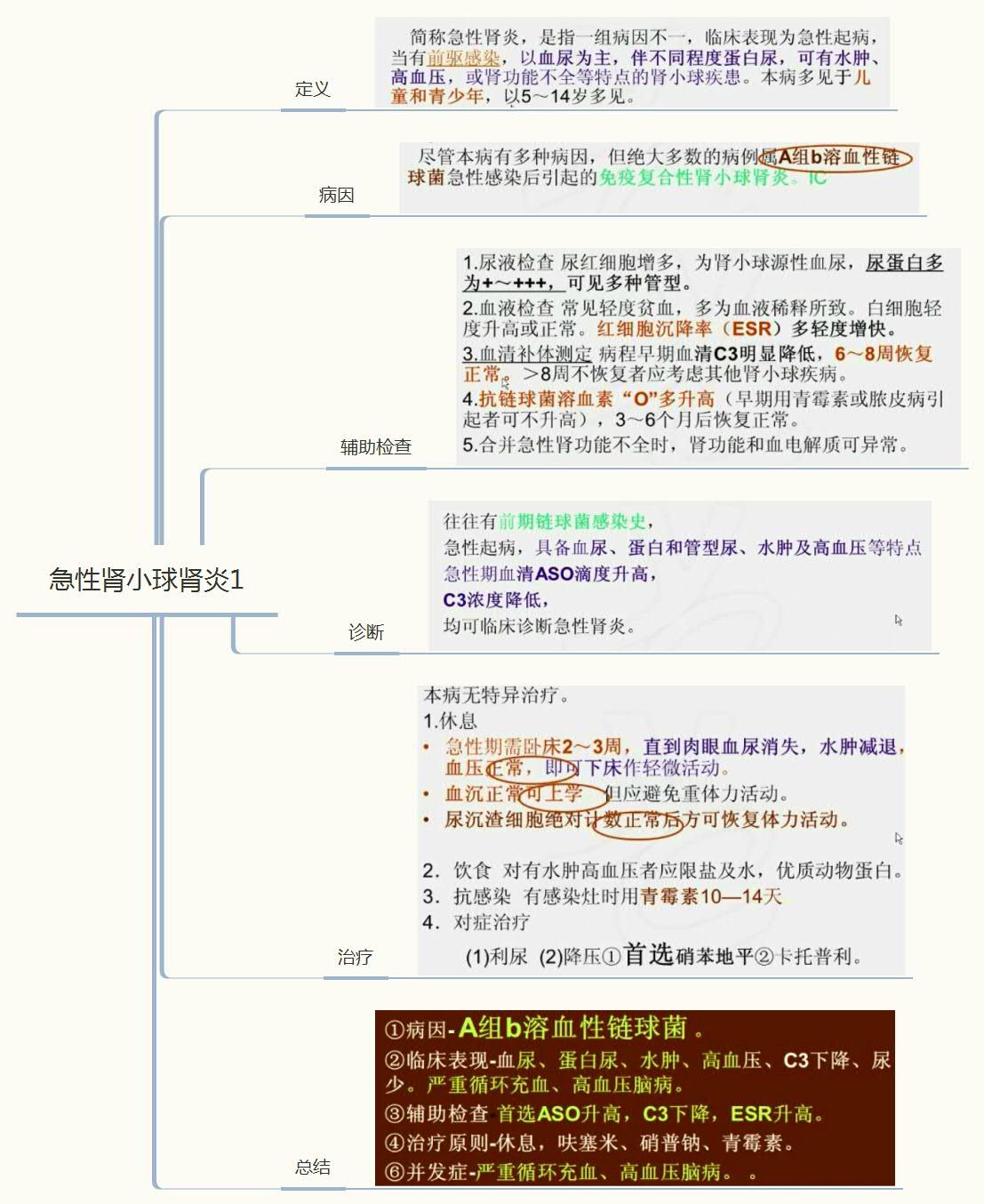 包含组胚男女生殖系统思维导图的词条-第2张图片-鲸幼网