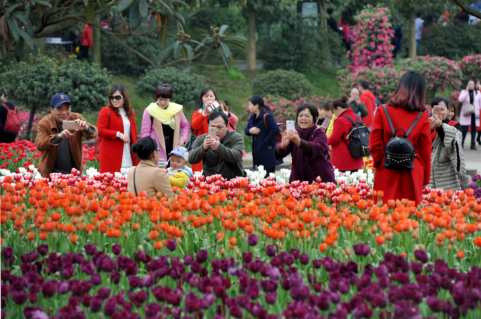 冬季赏花的经典句子(冬季赏花的经典句子简短)