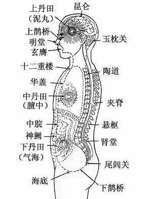 尾闾骨的准确位置图图片