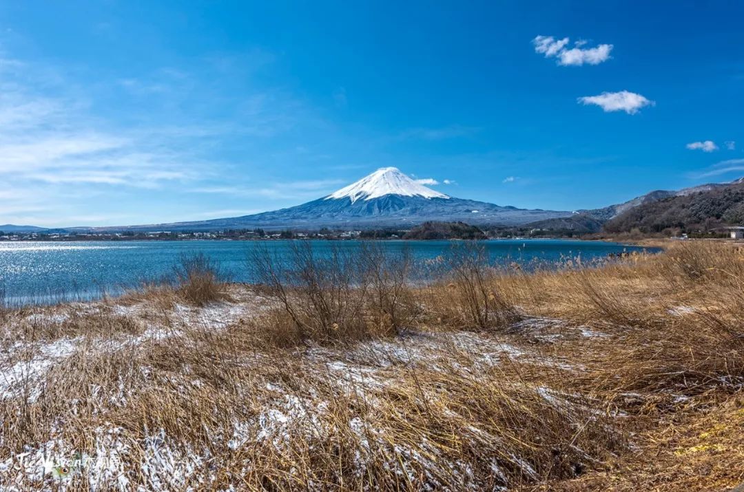 納呢!日本的富士山居然是租來的?