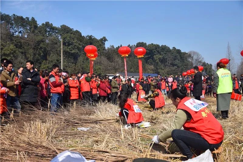 石门县又火了夹山镇农民运动会上了湖南卫视