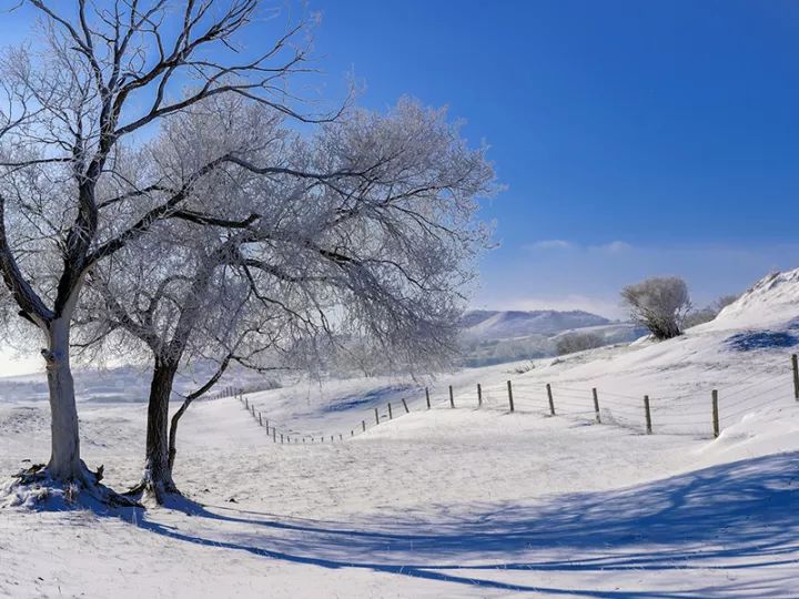 春節自駕烏蘭布統|玩雪圈,篝火晚會,百人包餃子過大年!