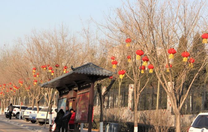 大红灯笼高高挂,新安新年美哒哒!