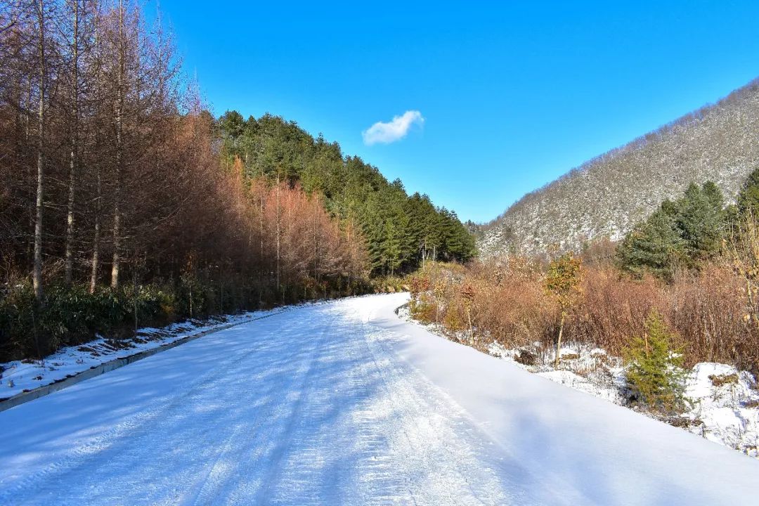 龙池雪景图片