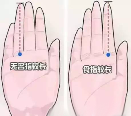 手指长度决定寿命?中国手相学竟被美国实验证明