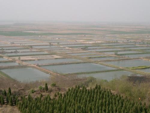 冬游汜水黄河滩看汜水古城越千年