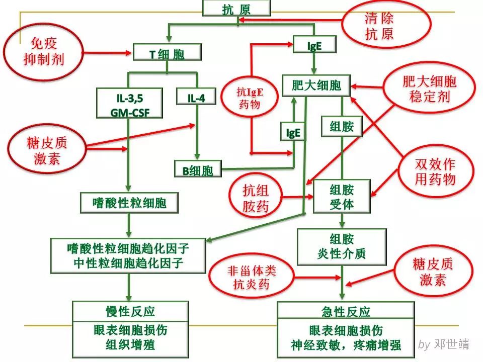 收藏丨眼表过敏疾病的诊断与治疗