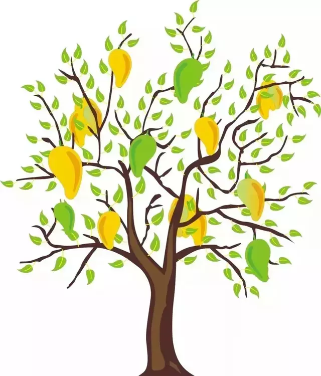 芒果树简笔画彩色图片