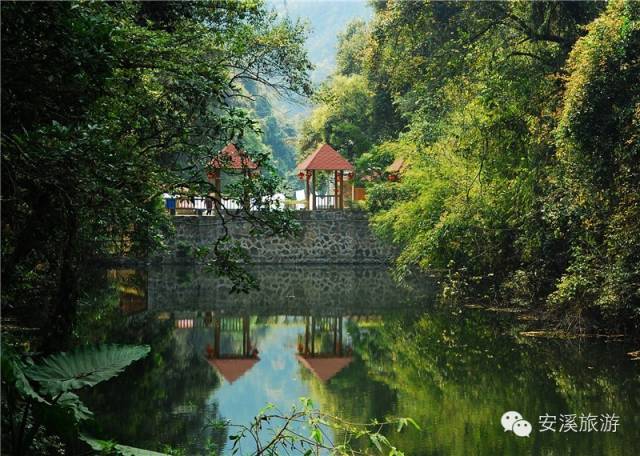 海絲茶源春意在安溪旅遊喚你來