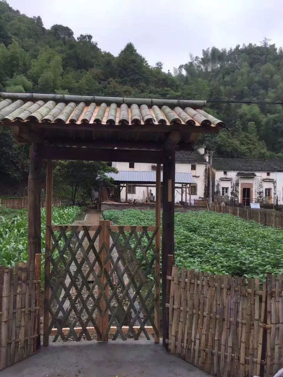 徐州田园牧歌农场图片
