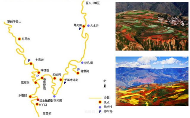 節後自駕雲南羅平油菜花金雞峰7天攝影自駕之旅