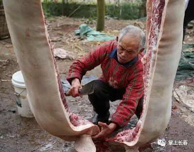 宰女人过年图片