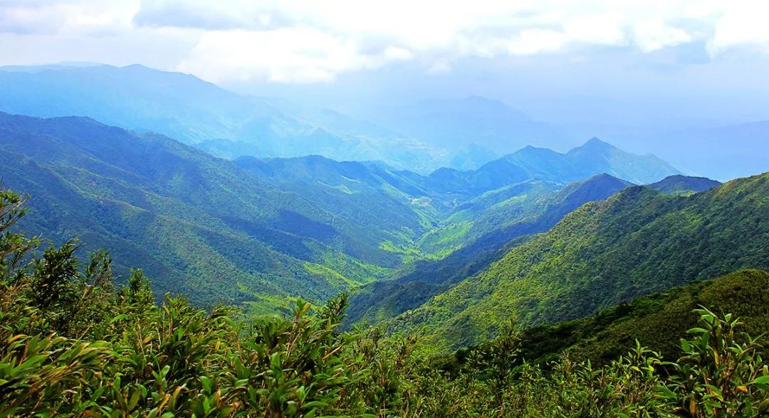 罗霄山脉主峰图片