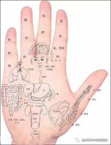 大拇指和食指示意图图片
