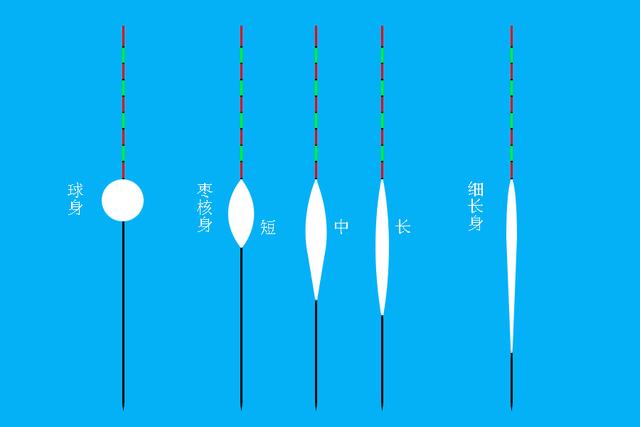 浮漂的形状及用途图解图片
