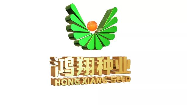 独家冠名:鸿翔种业 晚会合作伙伴 这个世界上 最难懂的人是父亲 一边