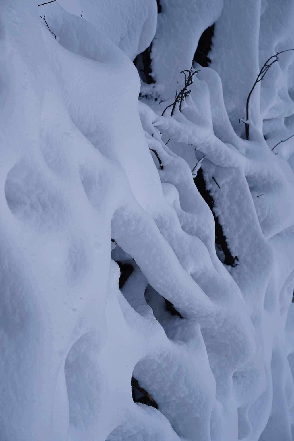 南京不一样的雪:血色浪漫,银色形态