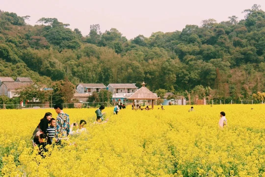 央視春晚分會場選定廣東珠海,一起來浪漫之城過大年吧!