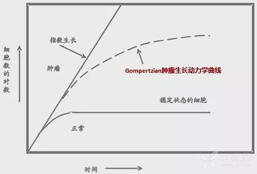 gompertz曲线模型图片