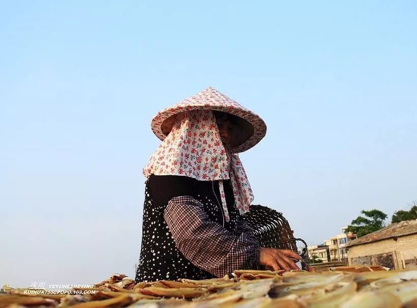 對蒲岐人來說年味藏在濃郁的魚腥味裡藏在路邊陽光下的魚乾裡藏在外婆