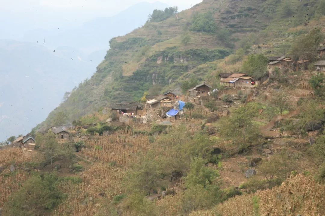 悬崖村到底有几多揭开传闻与标签走进真实的凉山