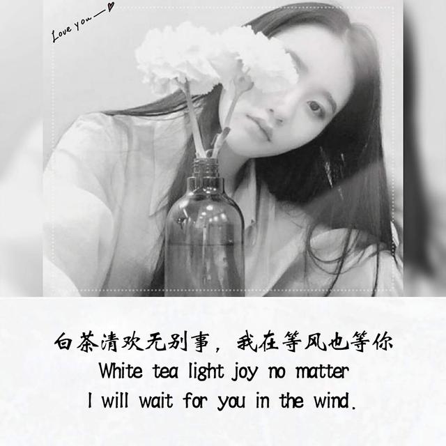 i wait for you in the wind.白茶清欢无别事,我在等风也等你