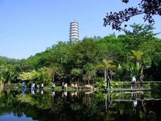 園博園綠道 一塔,兩管,三橋,四湖,六園