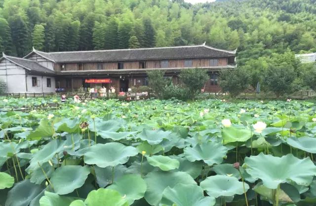 縣委舊址廣場,大眾里程家園,九紫溪山莊,鳥山水庫,九溪雲谷鄉居,山卡