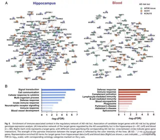 中国人的阿尔兹海默症新基因风险位点!这三个基因都和ad相关!