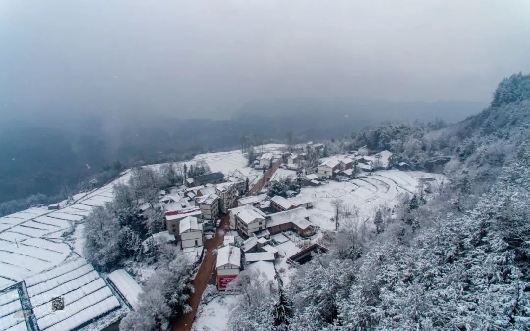 万州区公安局白土派出所等高山地区派出所和交巡警公巡大