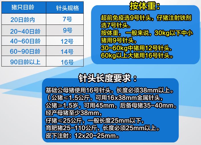 猪针头型号对应图片图片