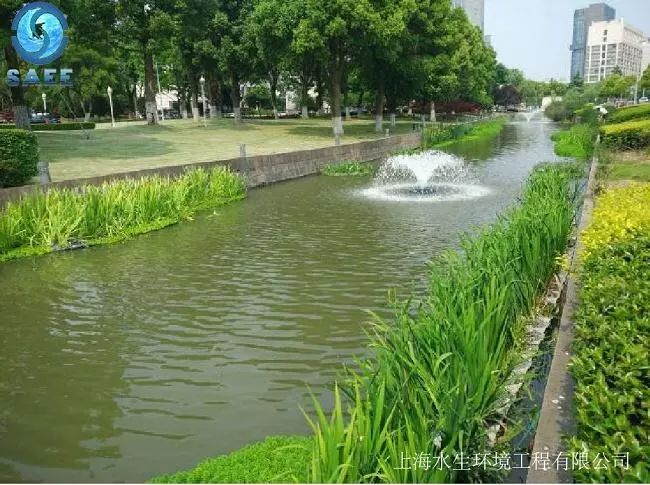 美麗河道夠生態方見長效