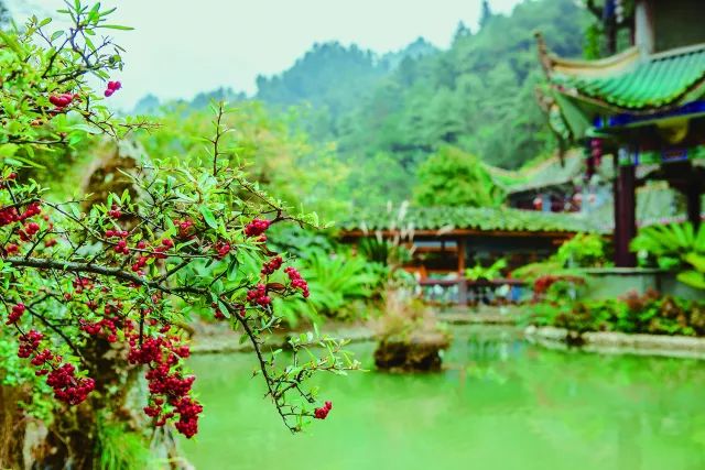 报名免费抢~开阳白马峪温泉门票免费抢!抢!抢!