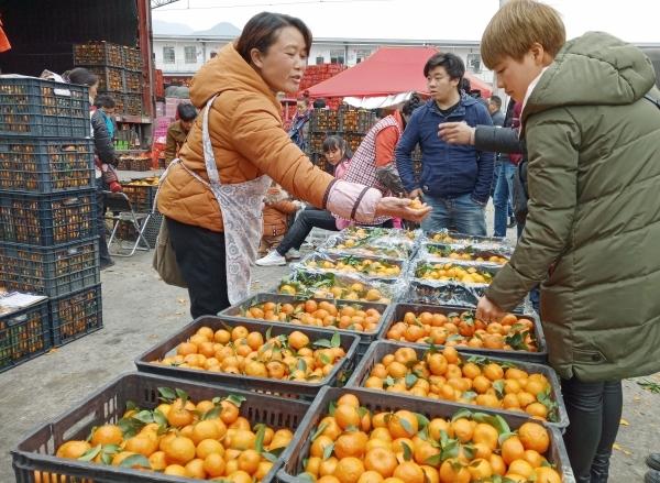 兴义金亿水果批发市场年味浓