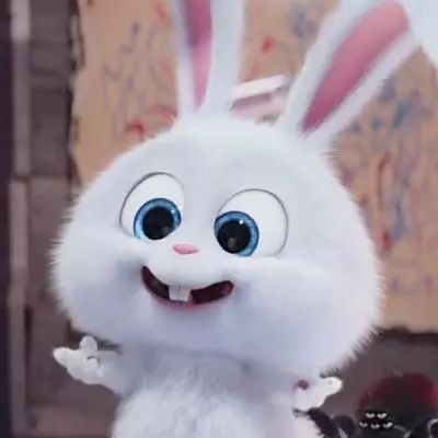 兔子雪球表情包图片
