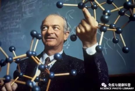 莱纳斯·卡尔·鲍林(linus carl pauling,1901-1994,美国著名化学家