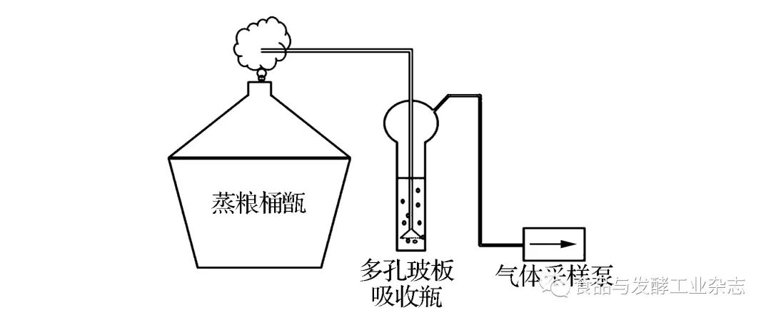 在多孔玻板吸收瓶中加入25 ml 体积分数为10%的乙醇作为吸附溶剂,待