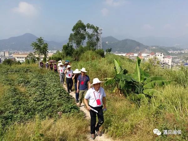 青口鎮通過通告,橫幅,宣傳車,座談會等多種方式進行宣傳,同時一碗水端