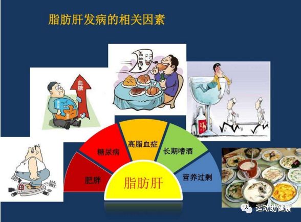 有专家表示:根据近些年大量的临床研究显示,当人们患上脂肪肝以后,是