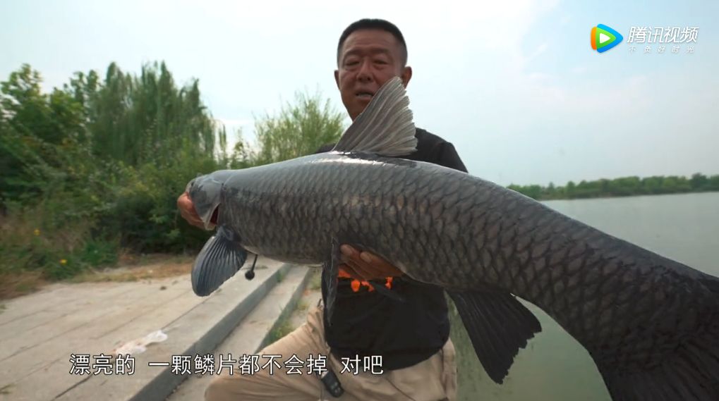 太白湖钓鱼图片