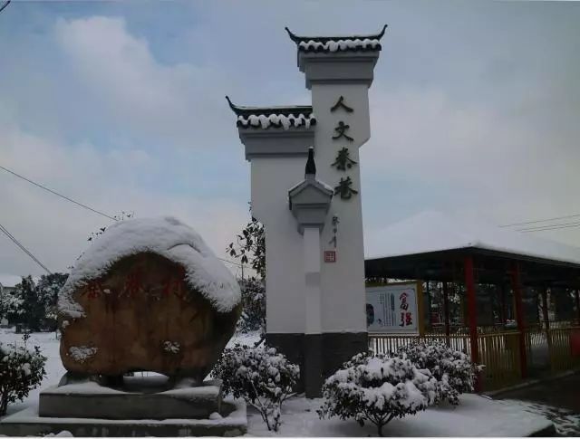 在学习中前进,秦巷村文化协会也办了一场"别人家的年会"