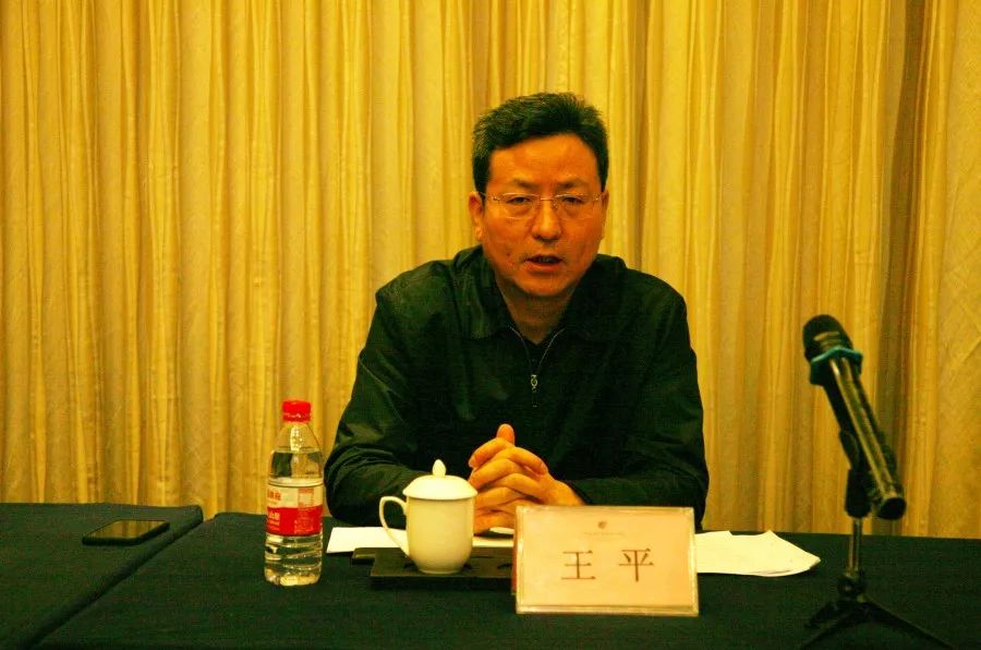 国家体育总局装备中心副主任王平在座谈会上.
