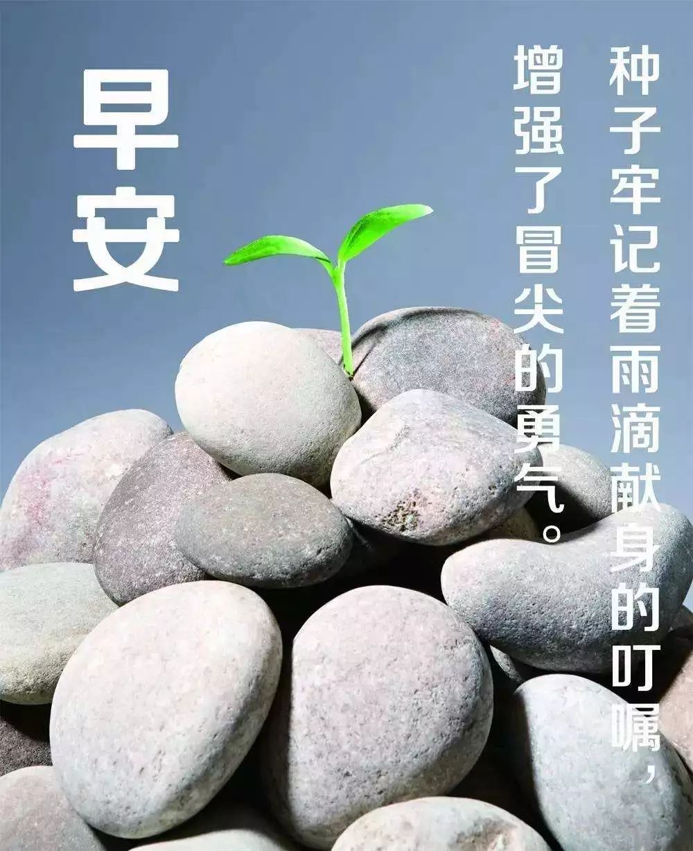 早安心语励志早安励志语录