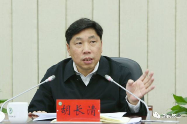 胡长清厅长主持召开厅务会议传达有关会议精神