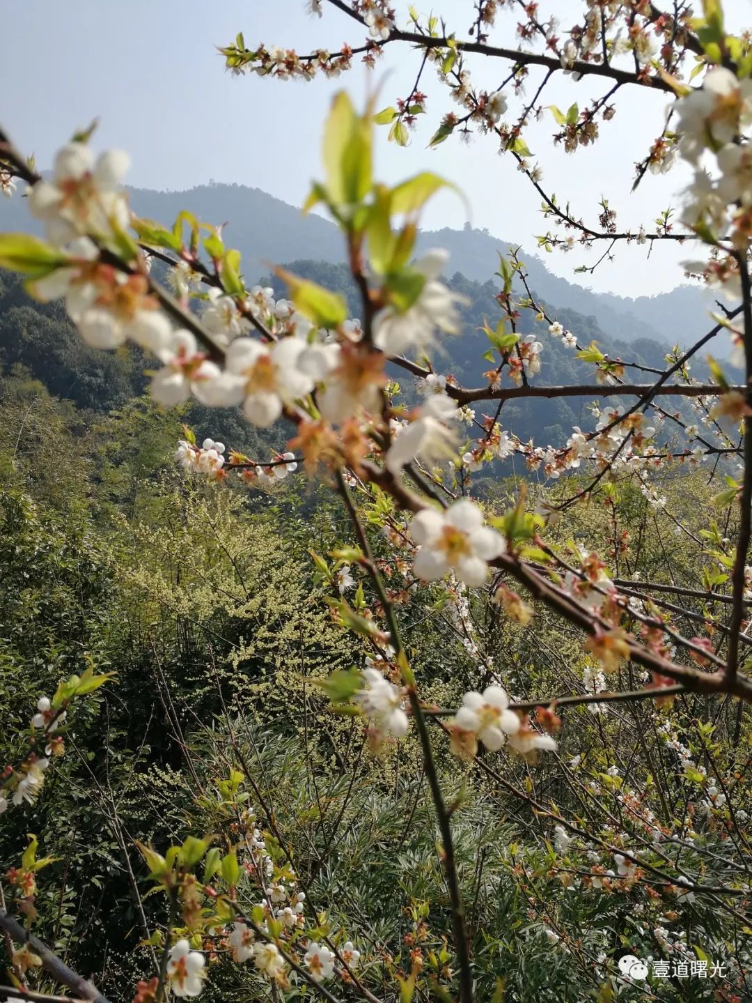 (注1:六祖慧能曾在丫山建築草棚以避禍,傳說丫山靈巖寺即源於此.