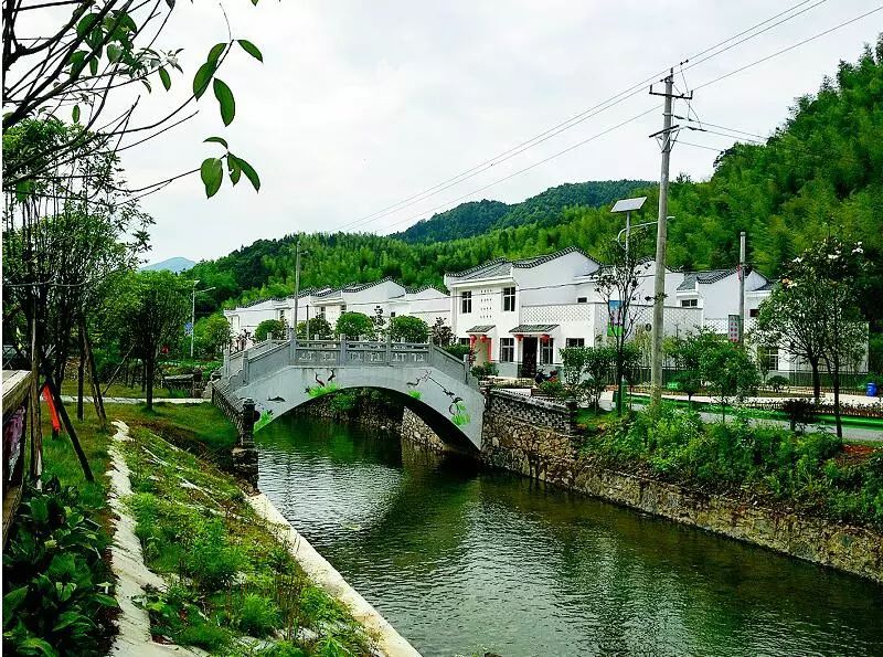 卓越旅遊 | 咸寧書記掛心咸寧旅遊:崇陽這個小鎮再獲特別關注