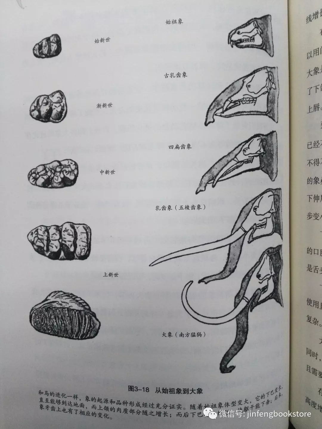 今風書局每週一書第107號世界起源特價10元英漢默頓主編